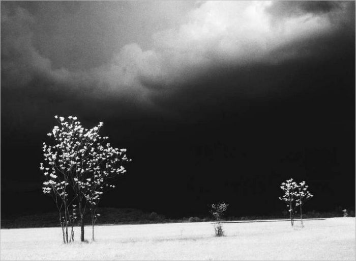 Voor de storm, 1963