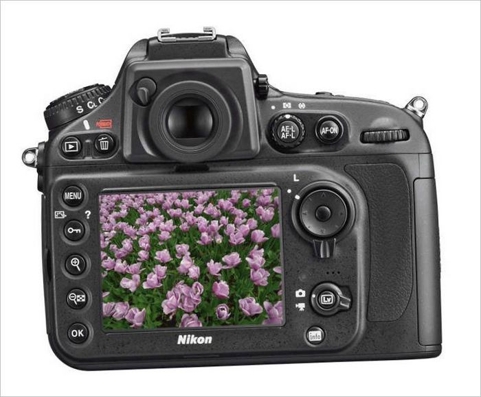 Nikon D3000 DSLR - display