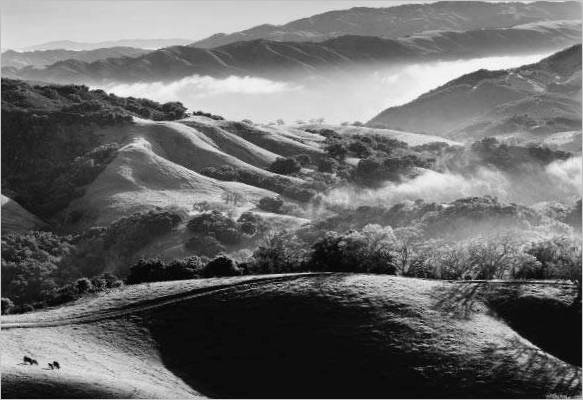 John Wimberley. Carmel Valley vanaf Hall's Ridge. 1993